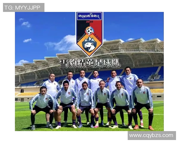 足球明星的专属旋律与他们的辉煌瞬间交织的音乐之旅